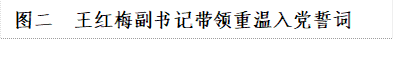 图二 王红梅副书记带领重温入党誓词